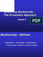 Реферат: Deforestation Essay Research Paper DeforestationTable of ContentsIntroduction1Important